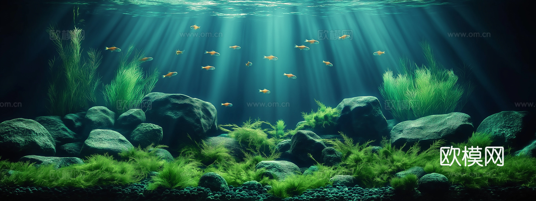 高清鱼缸贴图下载
