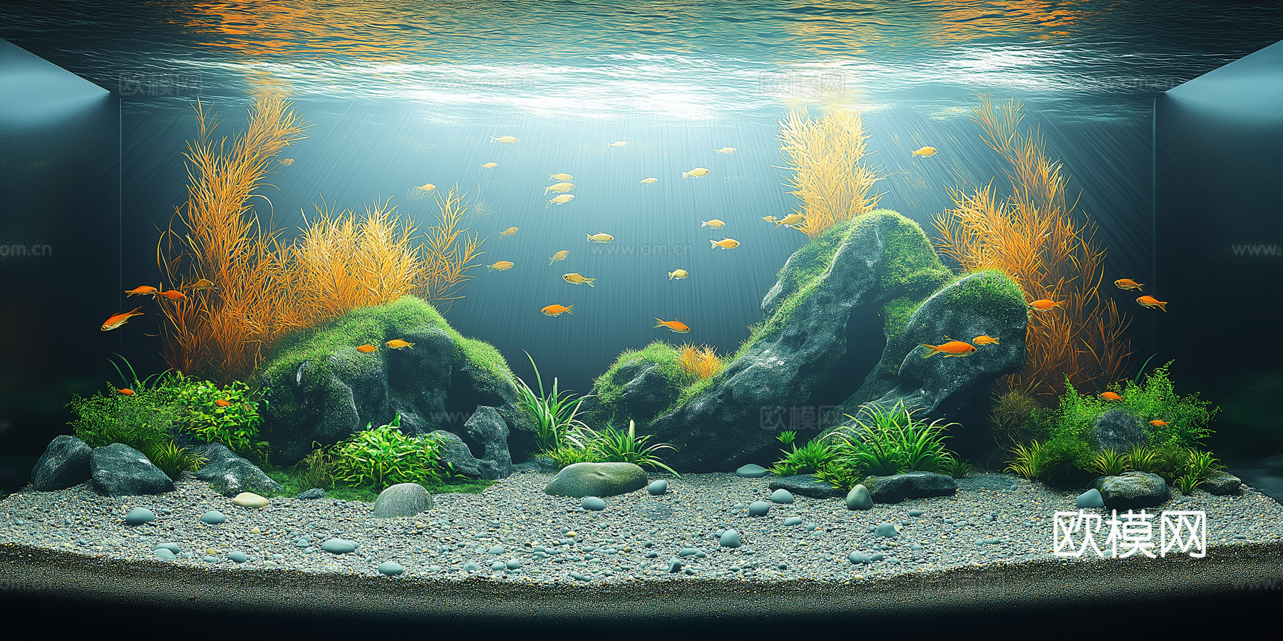 高清鱼缸贴图下载