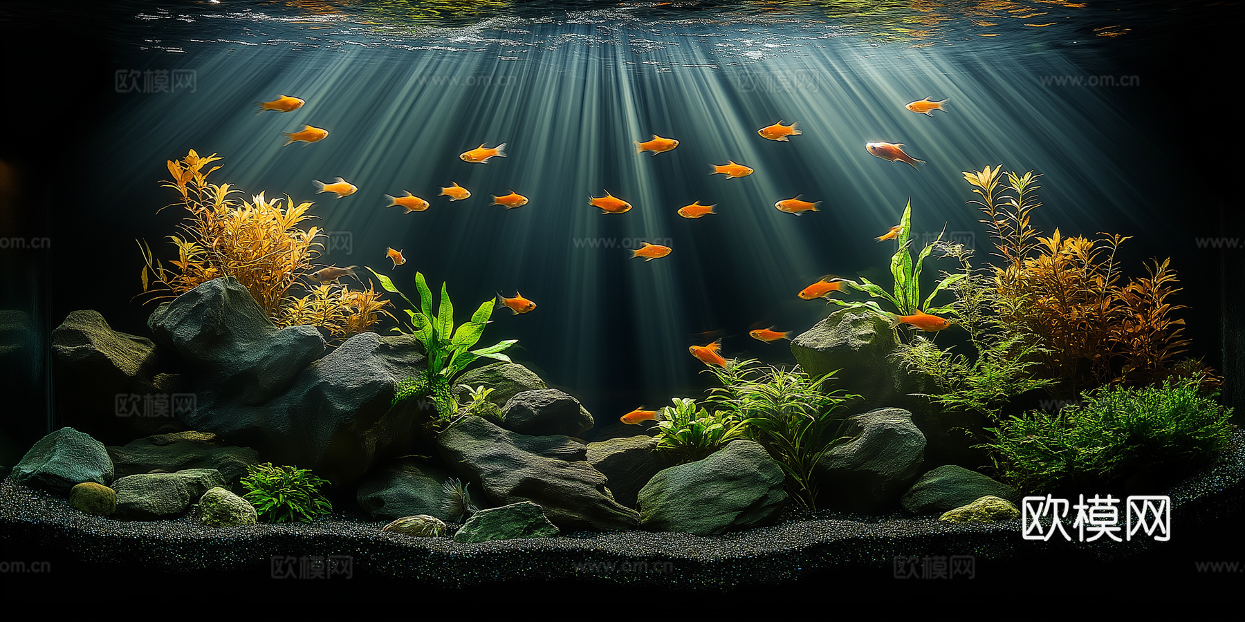 高清鱼缸贴图下载