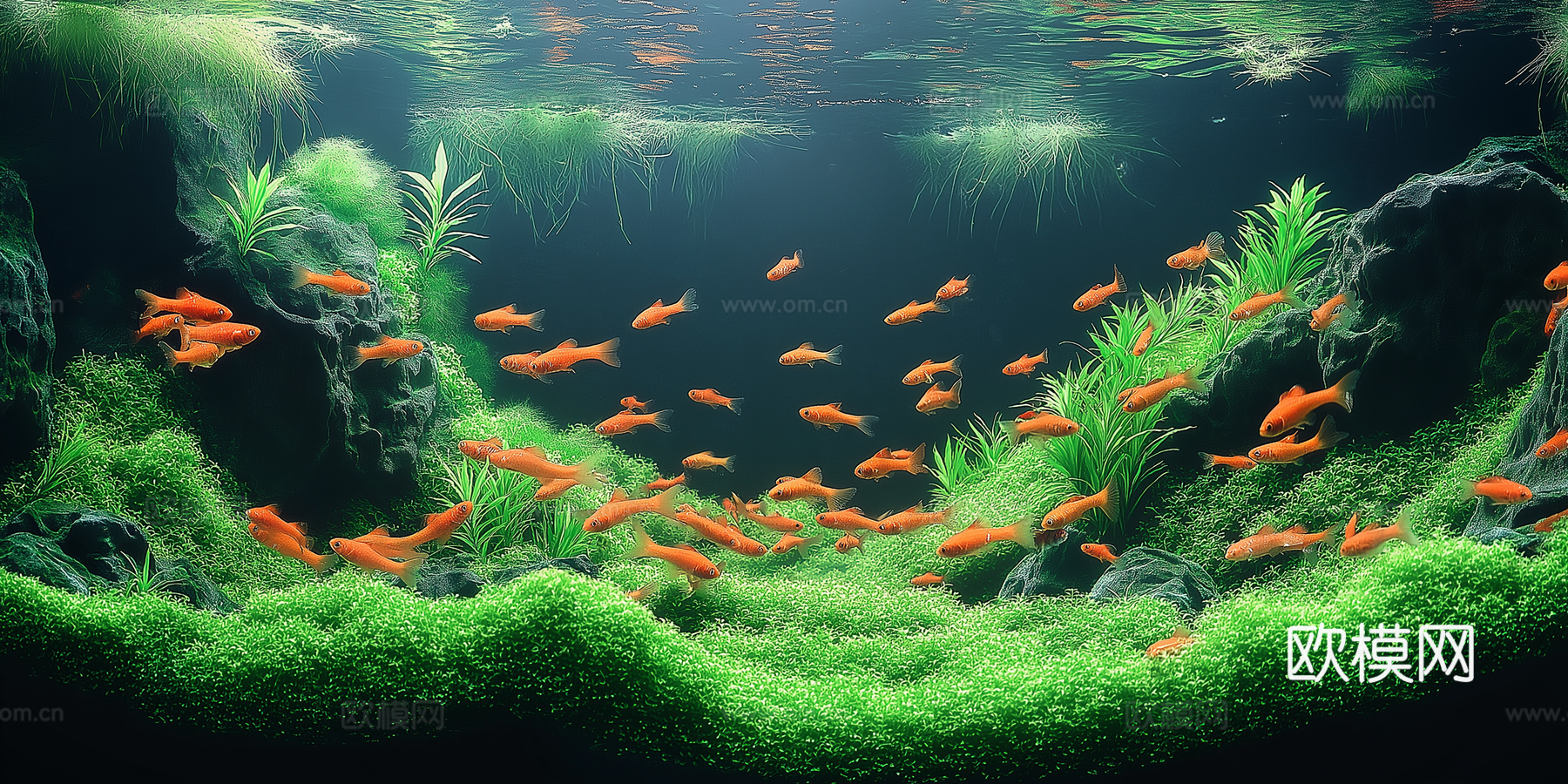 高清鱼缸贴图下载