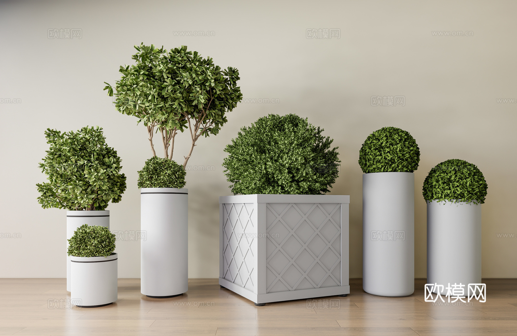 现代绿植盆栽 绿植球su模型下载（渲染图2）