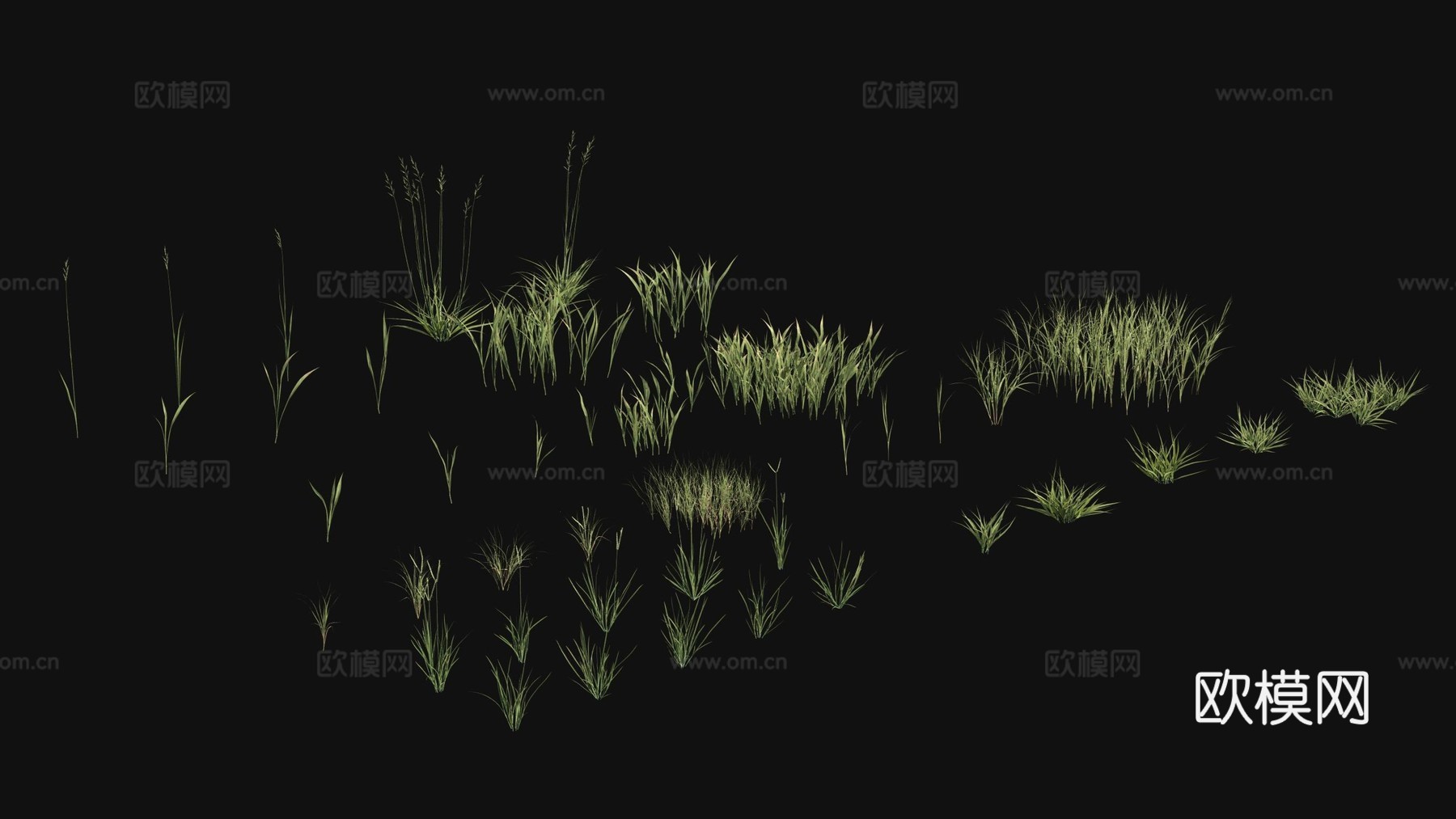 户外花草 植物 绿植3d模型