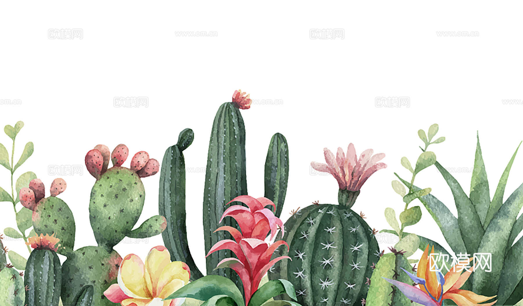 现代植物壁纸手绘下载