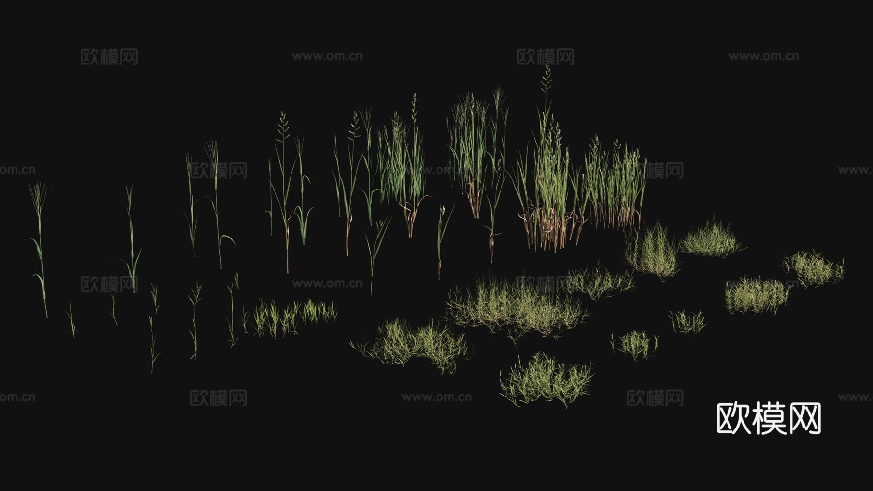 户外花草 植物 绿植3d模型