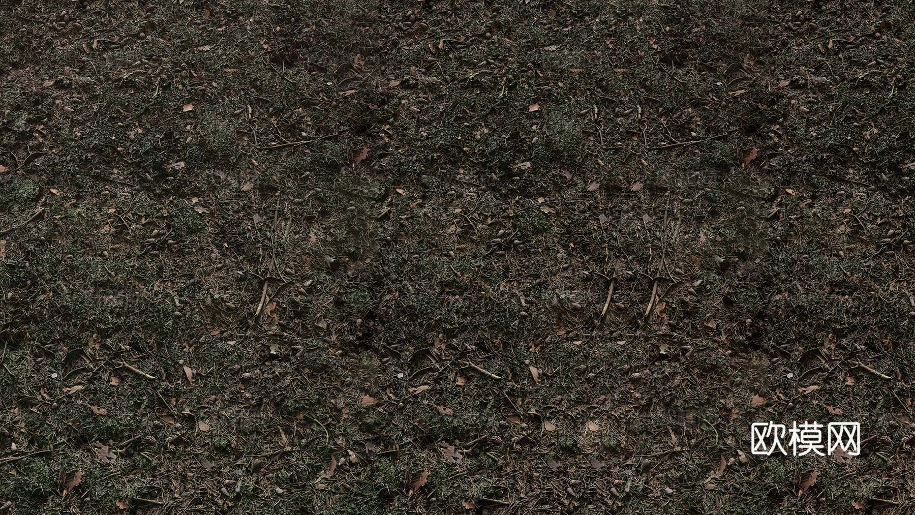 草地 草皮下载