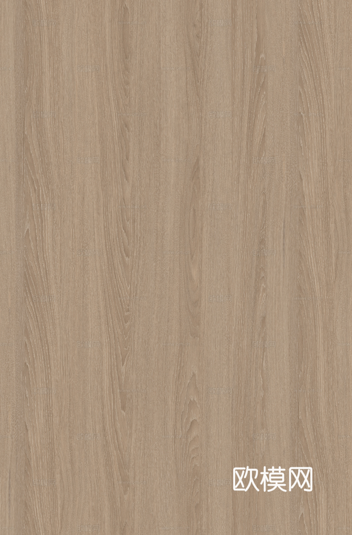 现代原木木纹 无缝原木木纹 橡木木纹下载