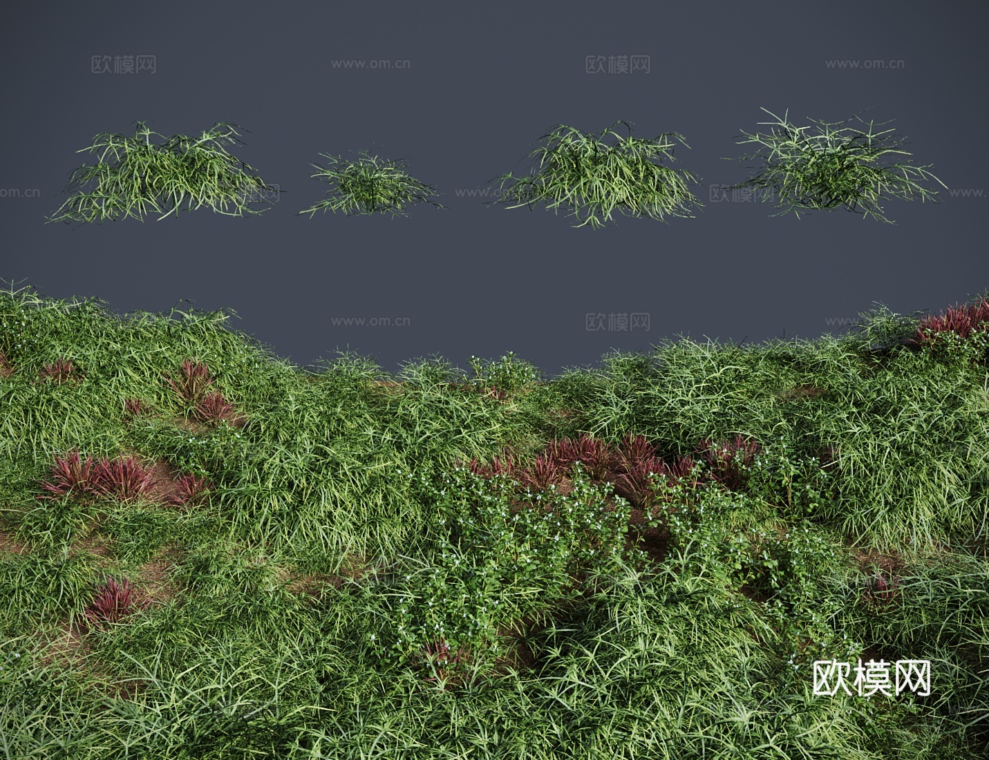 现代草地 草坪 井栏边草 草地灌木3d模型