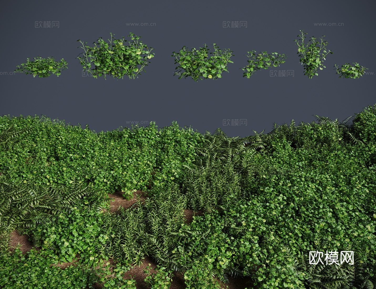 苹果草 草地灌木3d模型下载