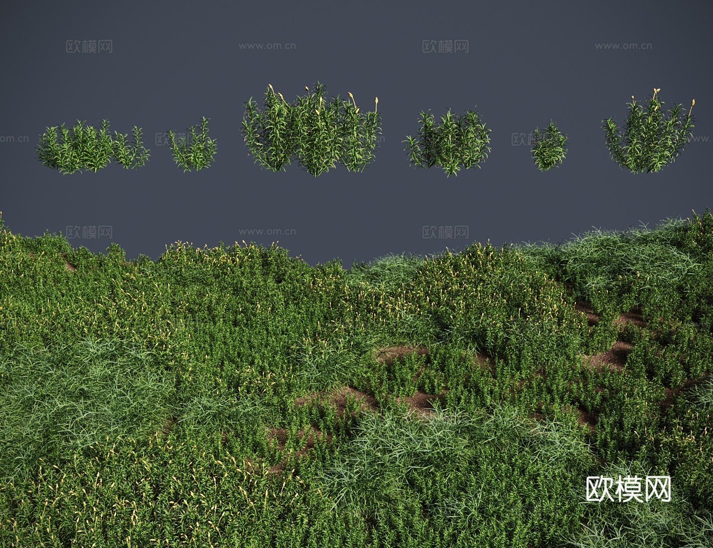 现代草地 草坪 金发藓 草地灌木3d模型