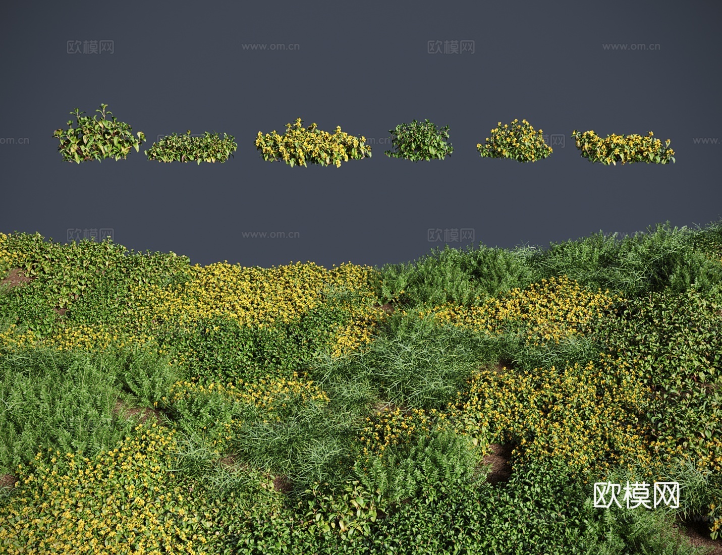 现代草地 草坪 金钱草 草地灌木3d模型