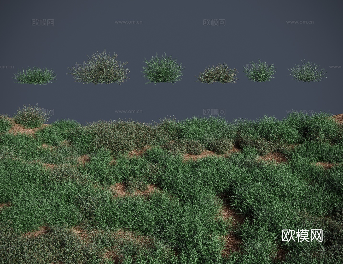 现代草地 草坪 骆驼刺草地灌木3d模型