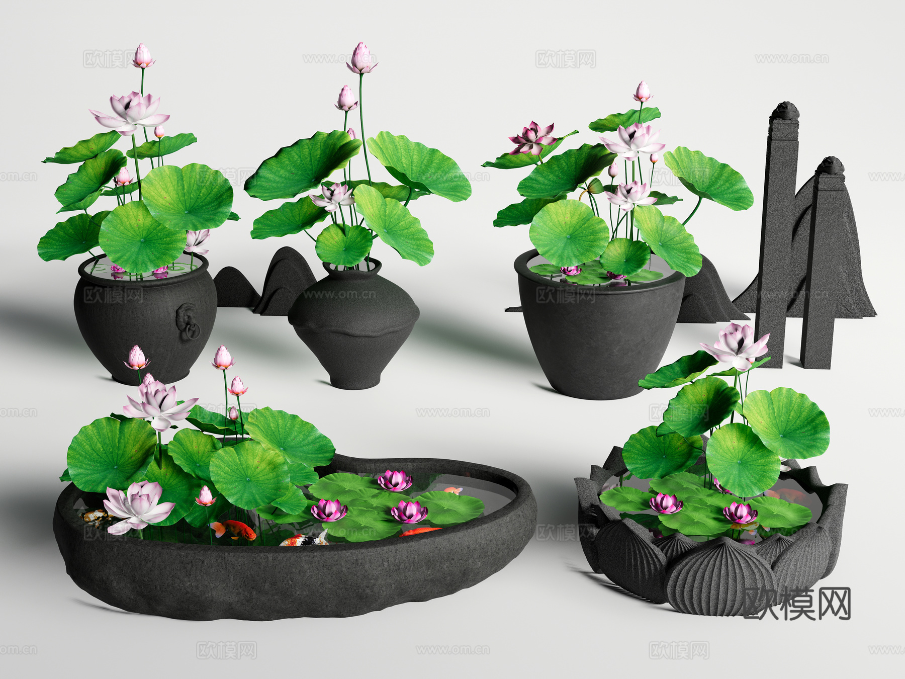 中式鱼缸 古法鱼缸 荷花缸 水生植物 荷花3d模型