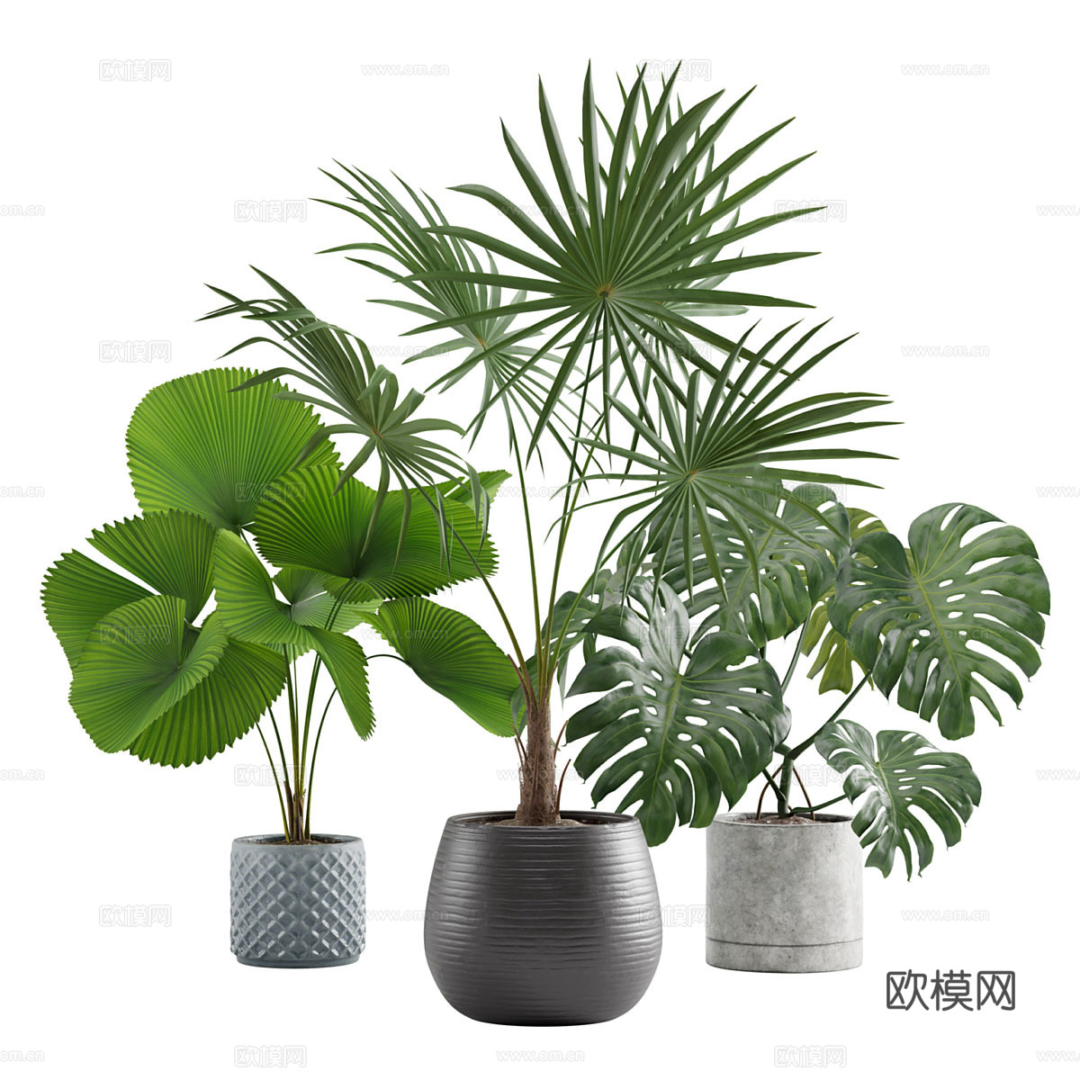 绿植盆栽3d模型