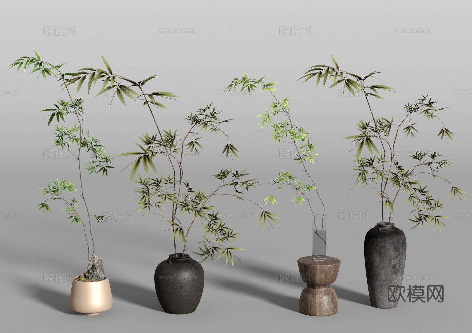 竹子盆景 植物 绿植3d模型