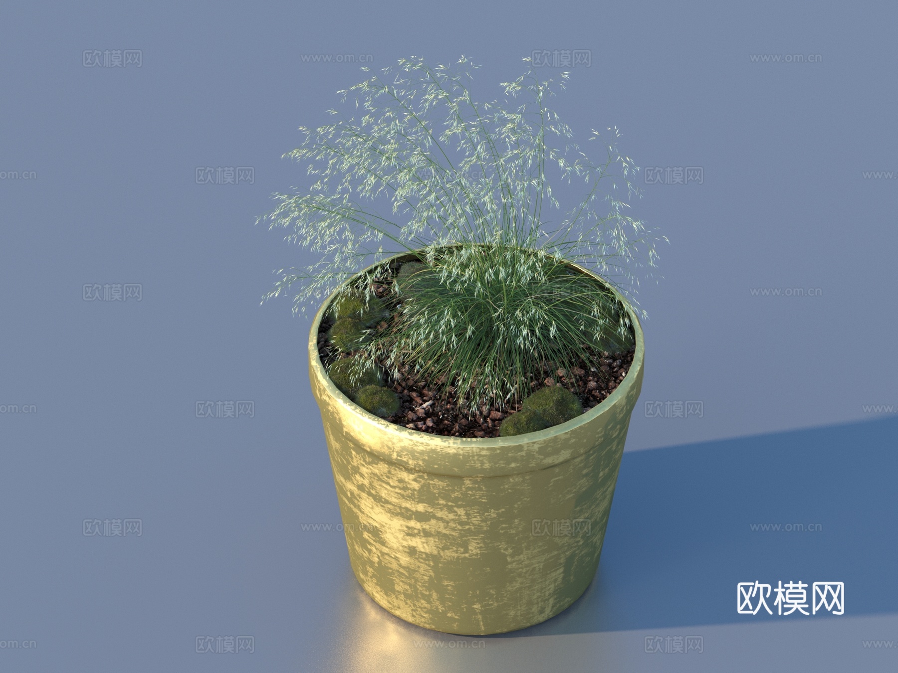 花盆 盆栽 绿植 植物3d模型