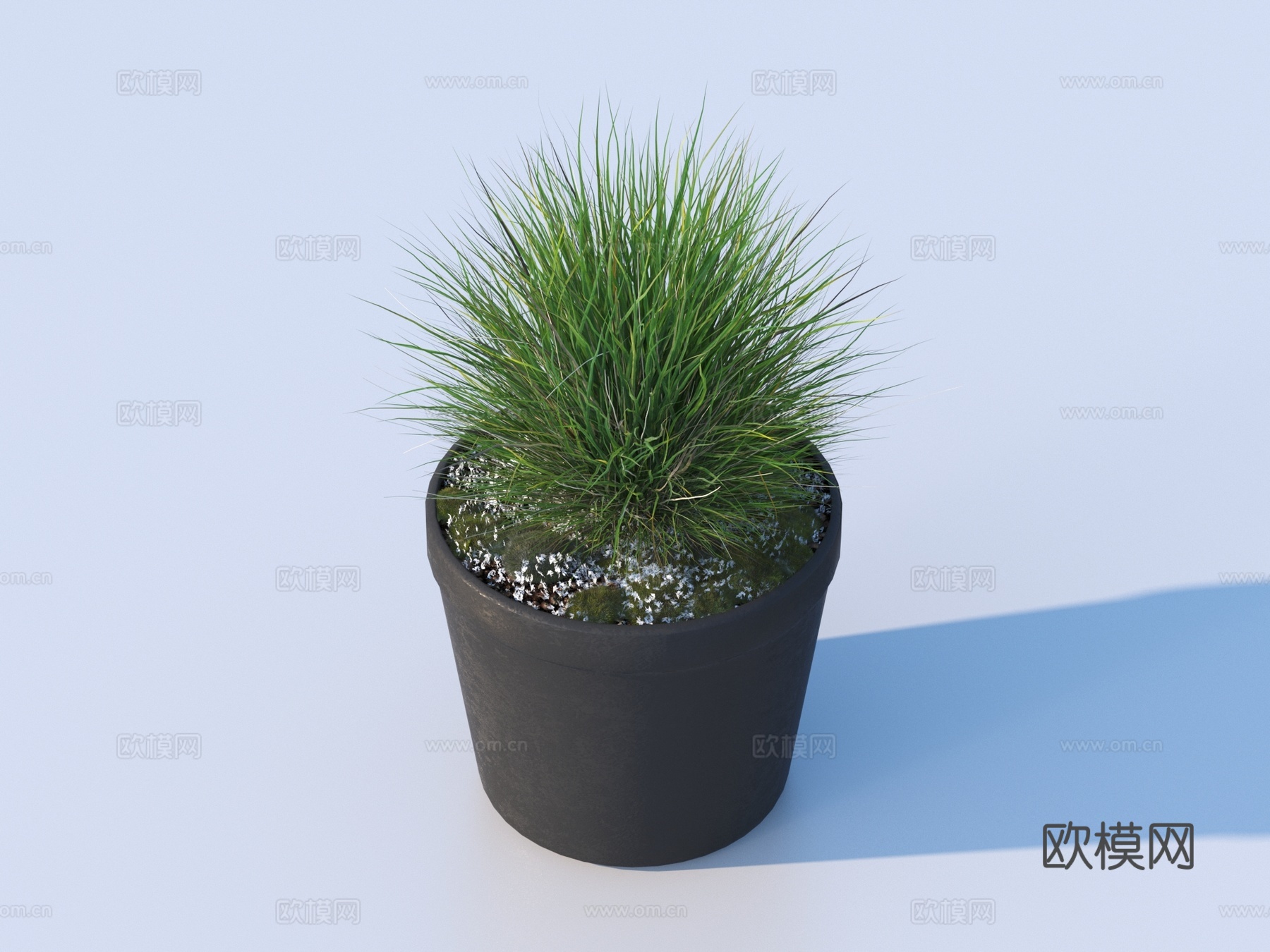 花盆 盆栽 绿植 植物3d模型