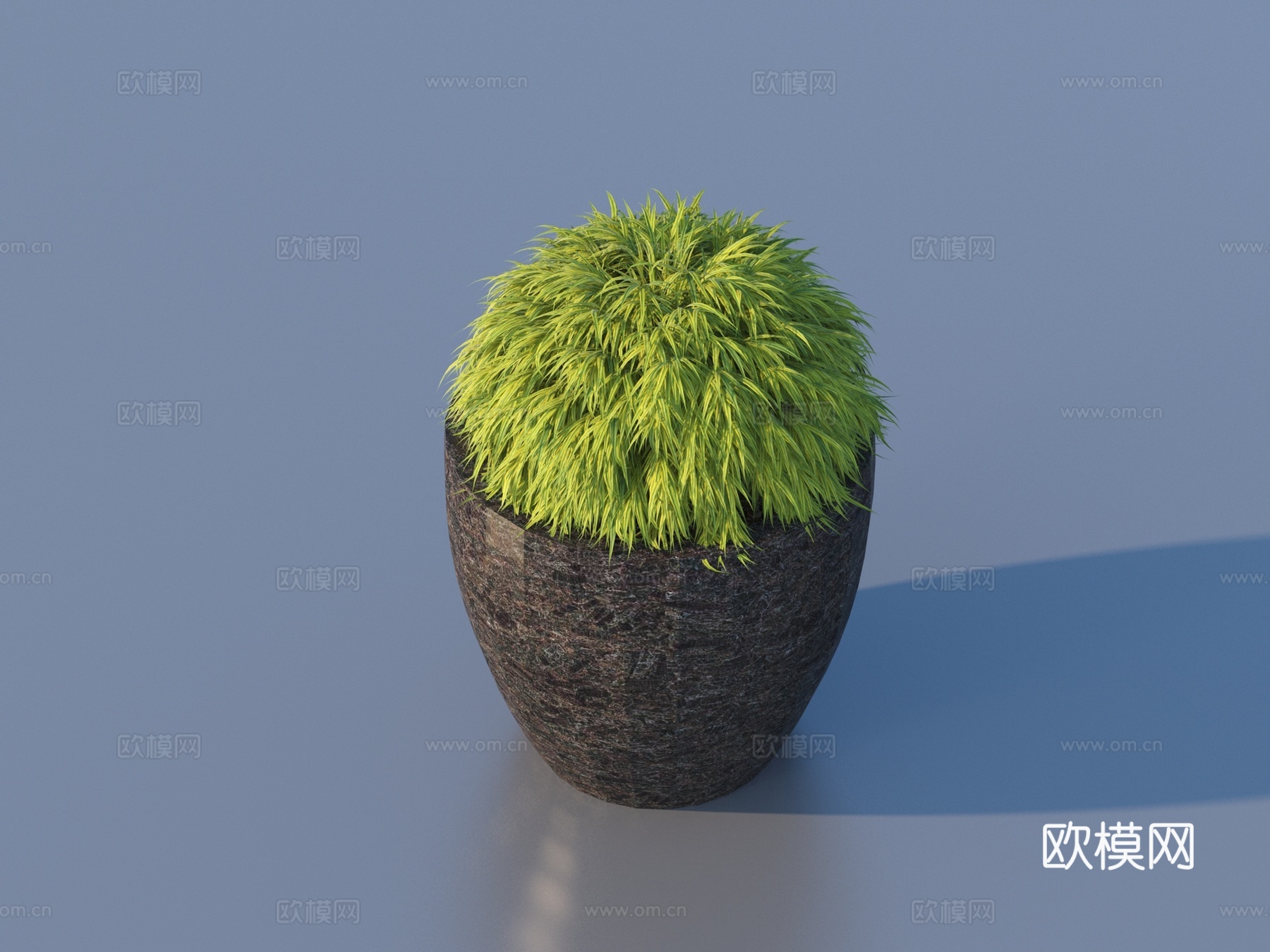 花盆 盆栽 绿植 植物3d模型