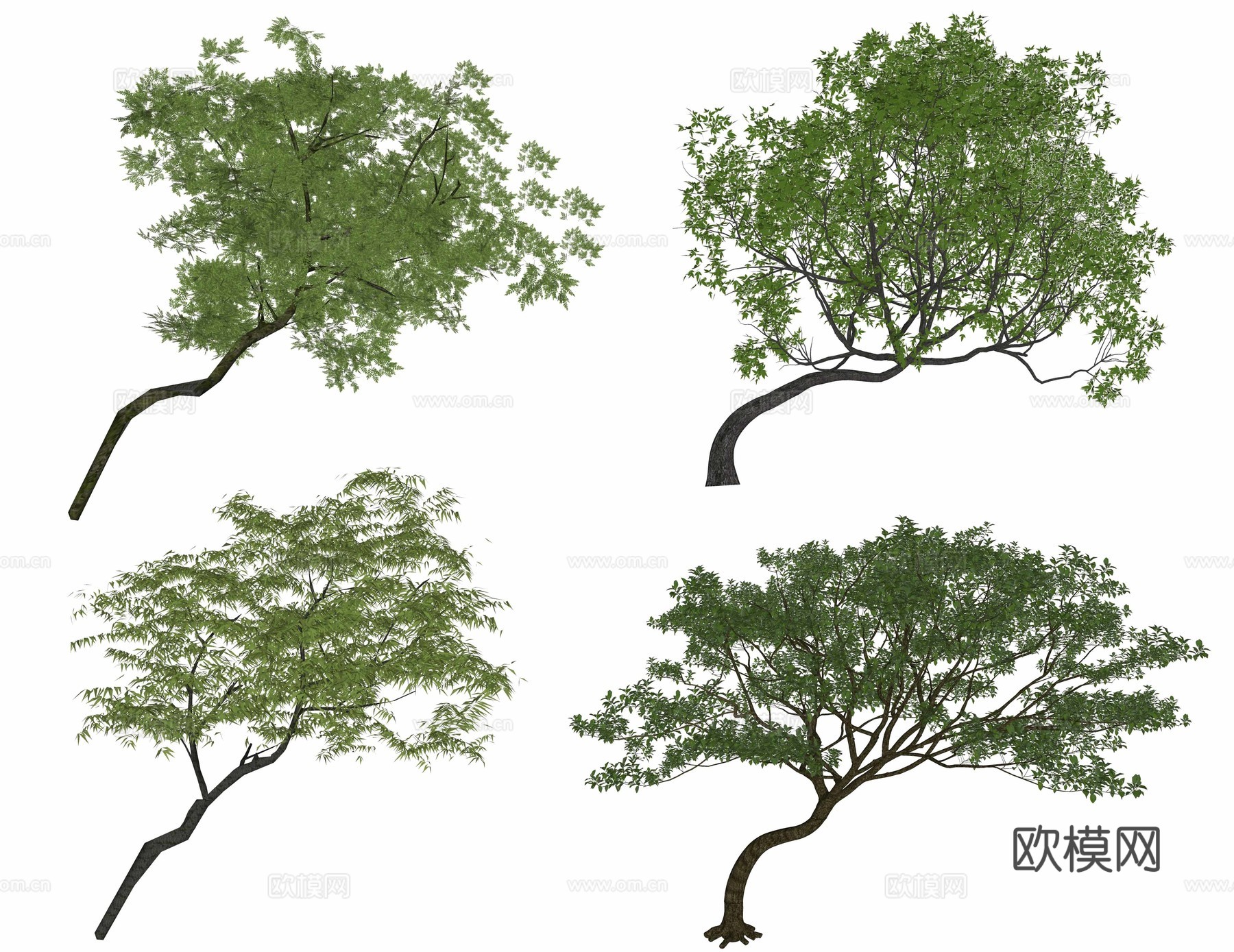 现代歪脖子树 斜飘树 飘枝树su模型下载（渲染图1）
