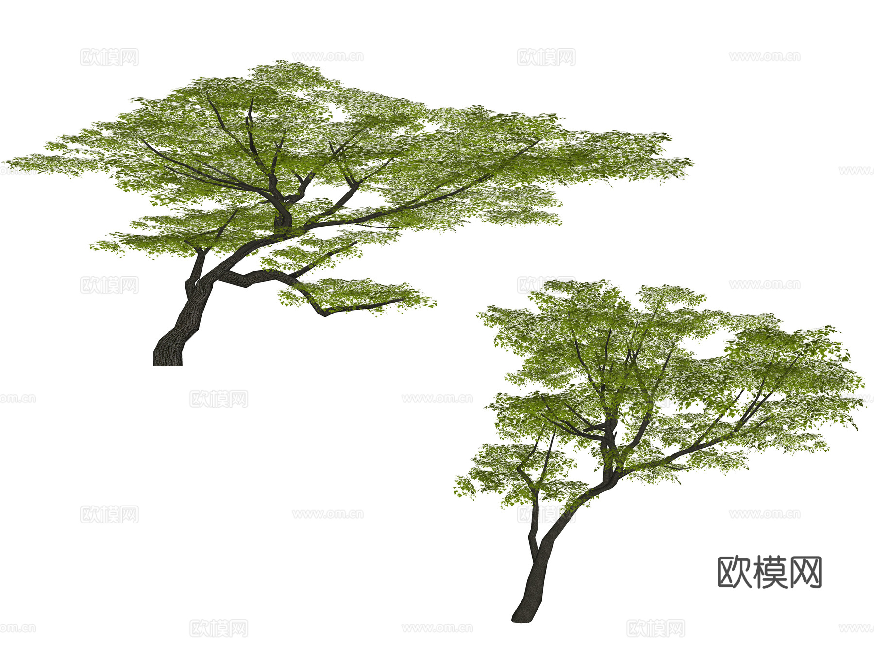 歪脖子树 斜飘树 飘枝树su模型下载（渲染图1）
