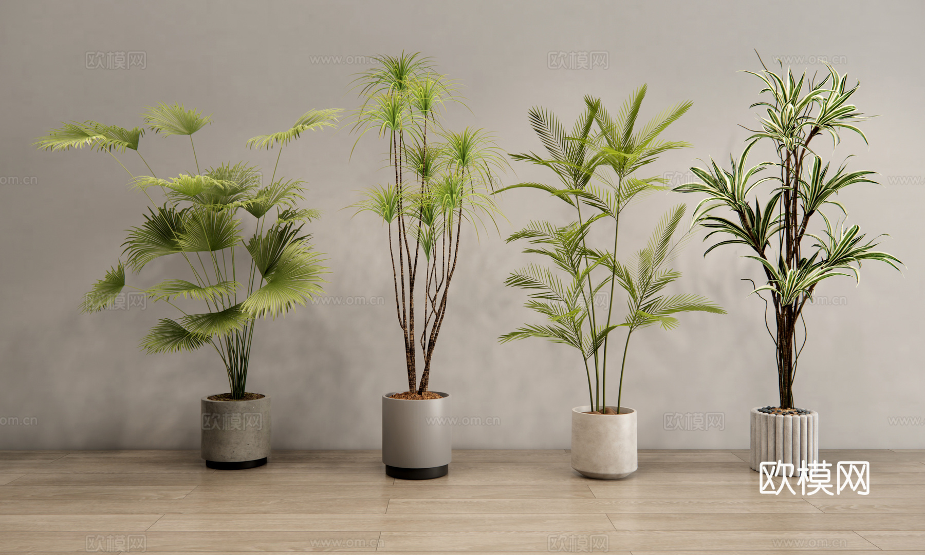 现代植物盆栽 绿植盆栽 室内绿植 盆景3d模型