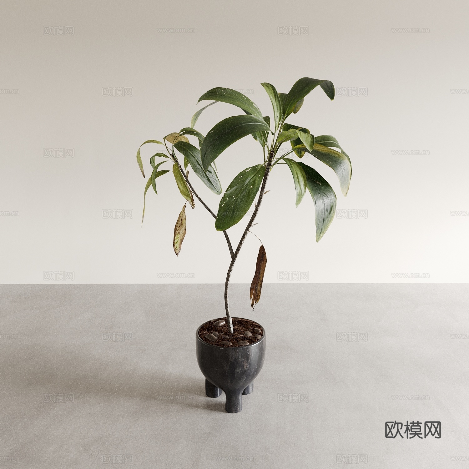 盆景盆栽 室内绿植 植物摆件3d模型