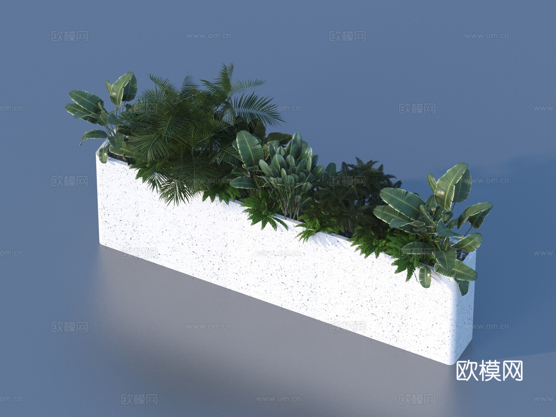 花箱 蕨类植物 植物堆3d模型