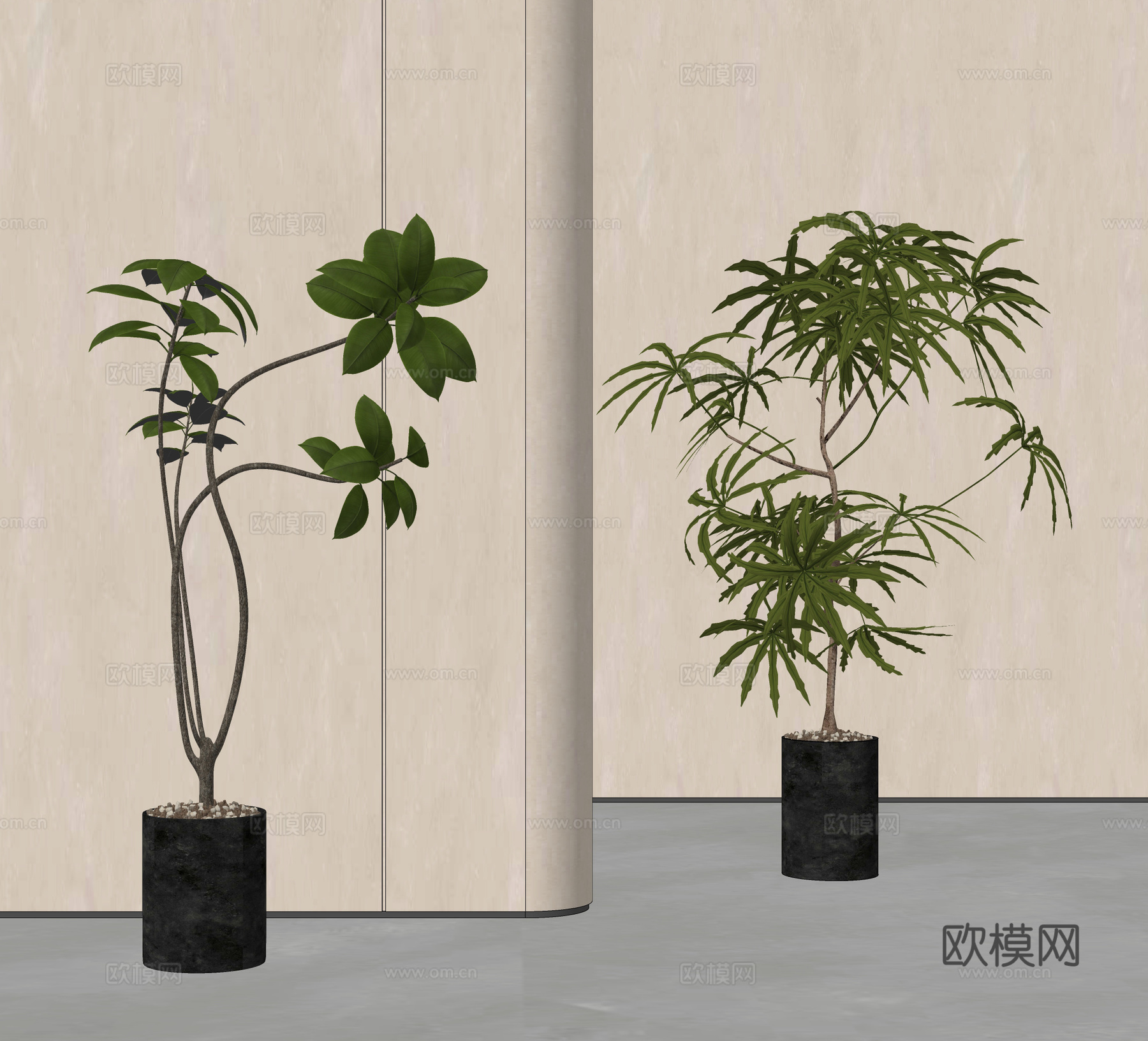 盆栽 绿植盆栽su模型