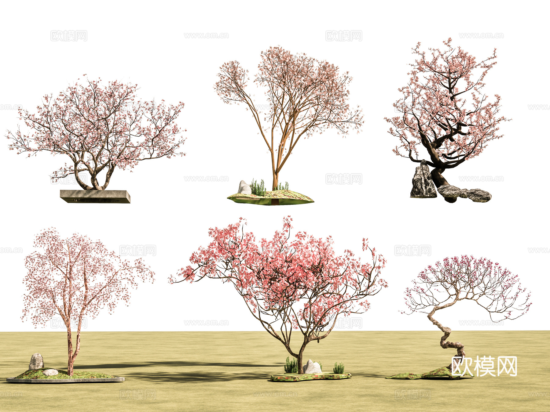 景观树 行道树 枫叶树 樱花树su模型下载（渲染图2）