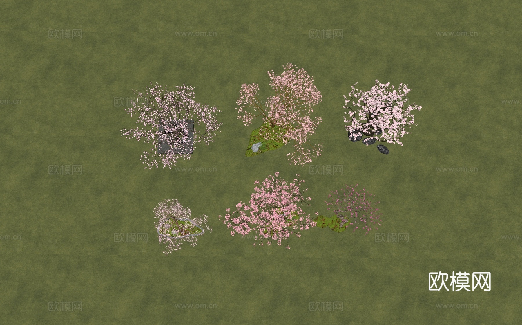 景观树 行道树 枫叶树 樱花树su模型下载（渲染图1）