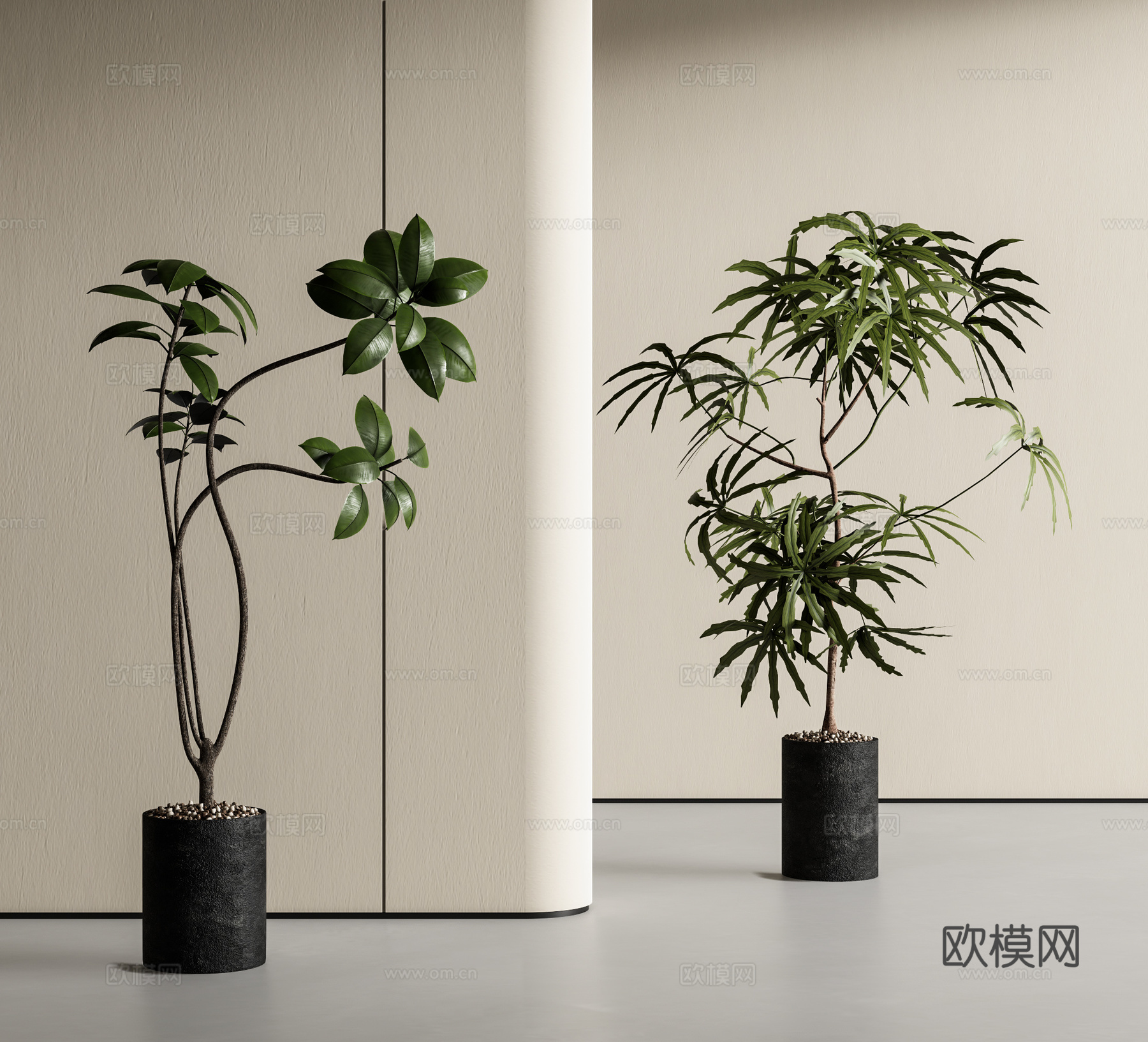 盆栽 绿植盆栽 落地盆栽3d模型