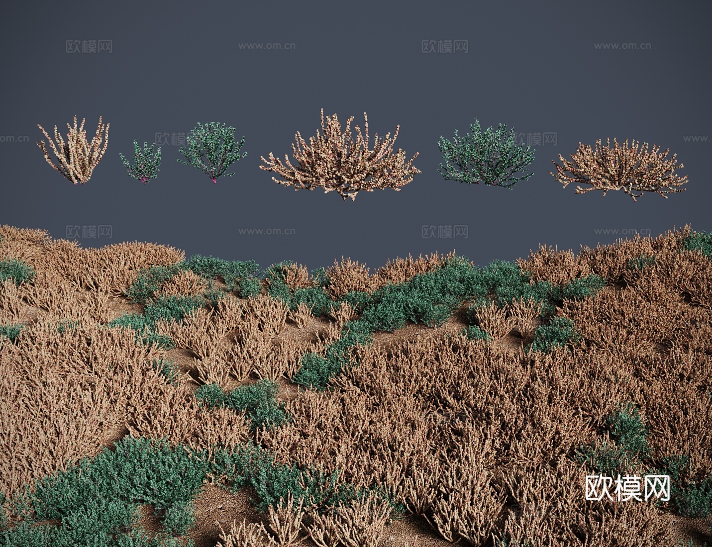 现代草地草坪 盐生草草地灌木3d模型