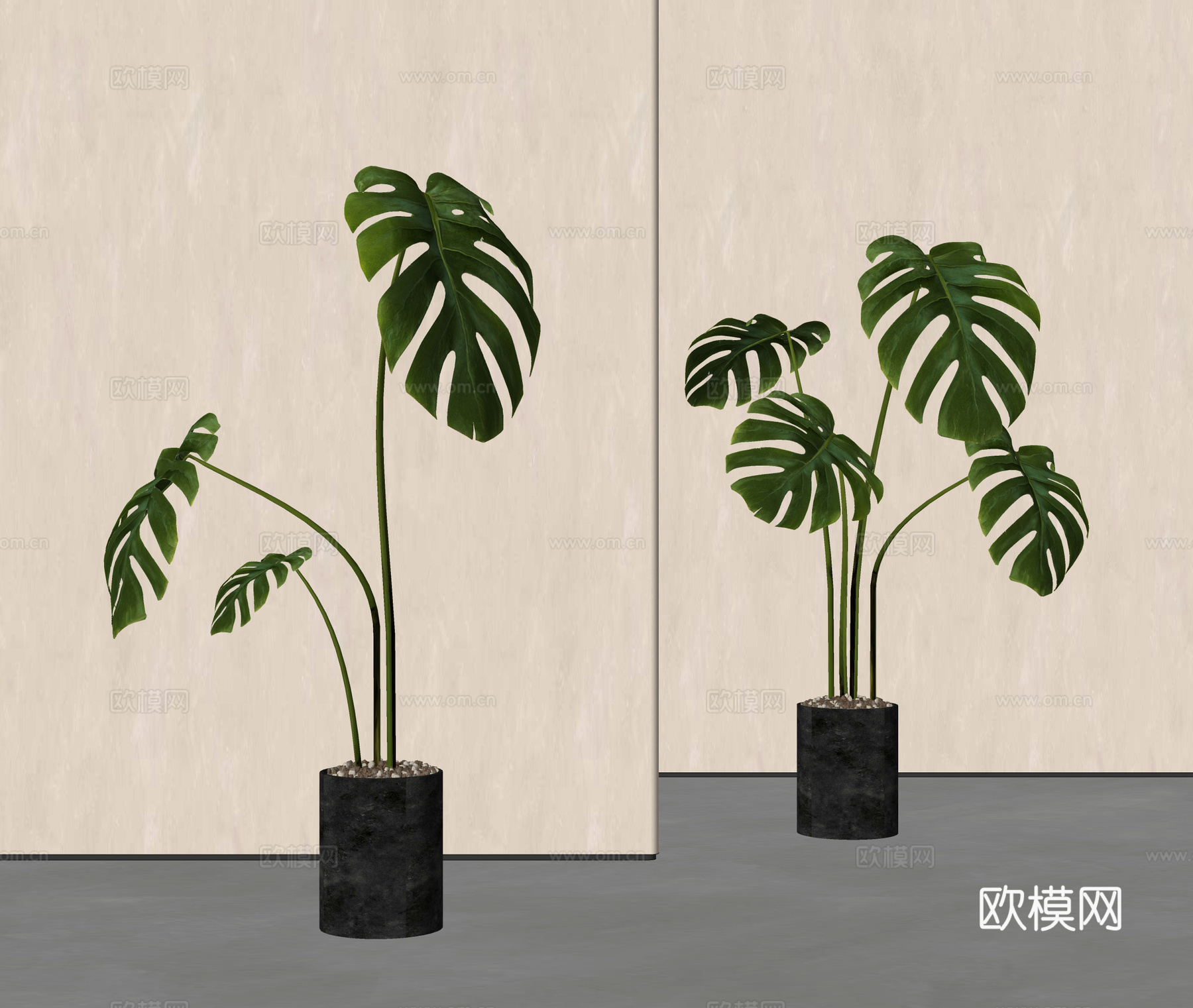 龟背竹盆栽 绿植盆栽 植物盆景su模型