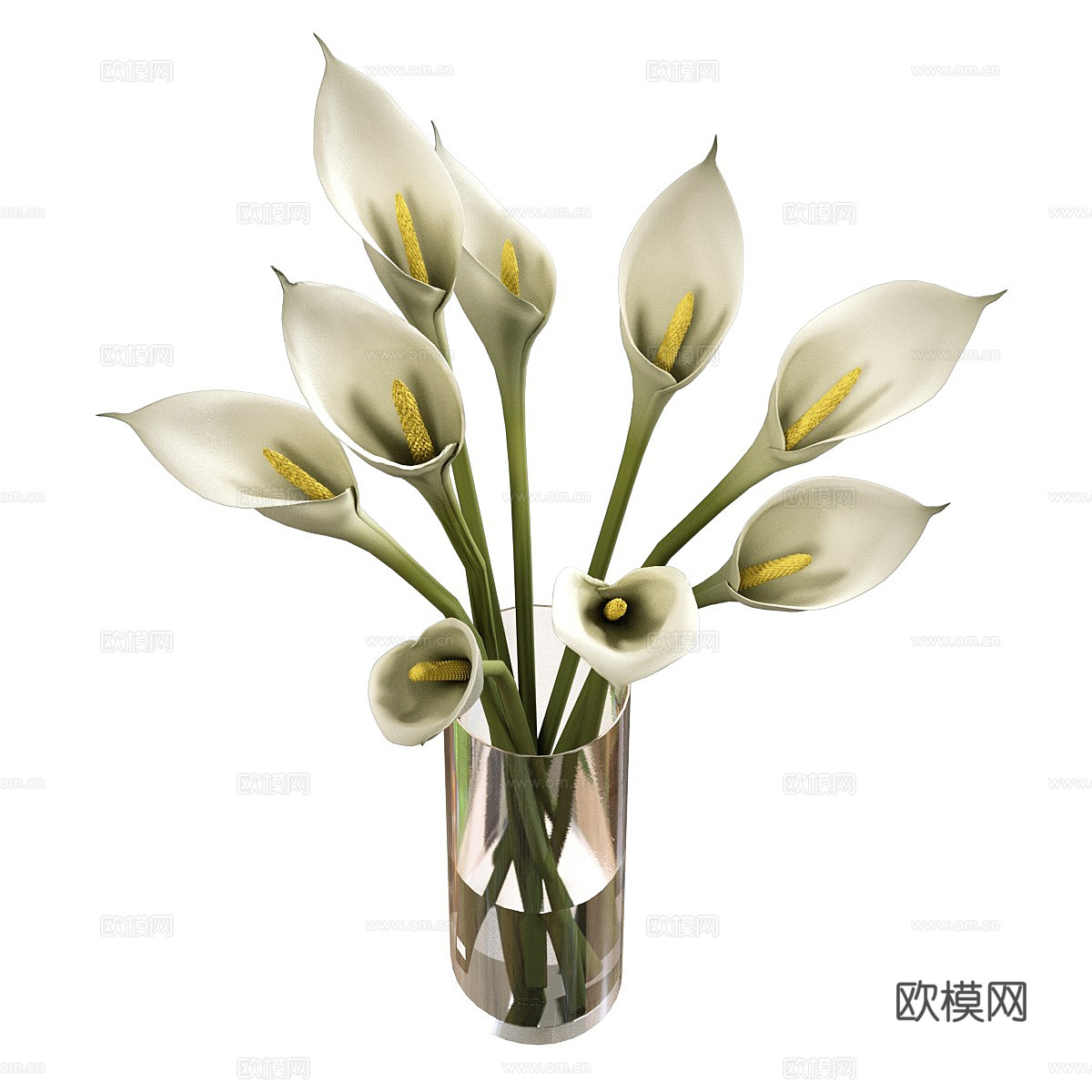 马蹄莲 花瓶 花艺3d模型