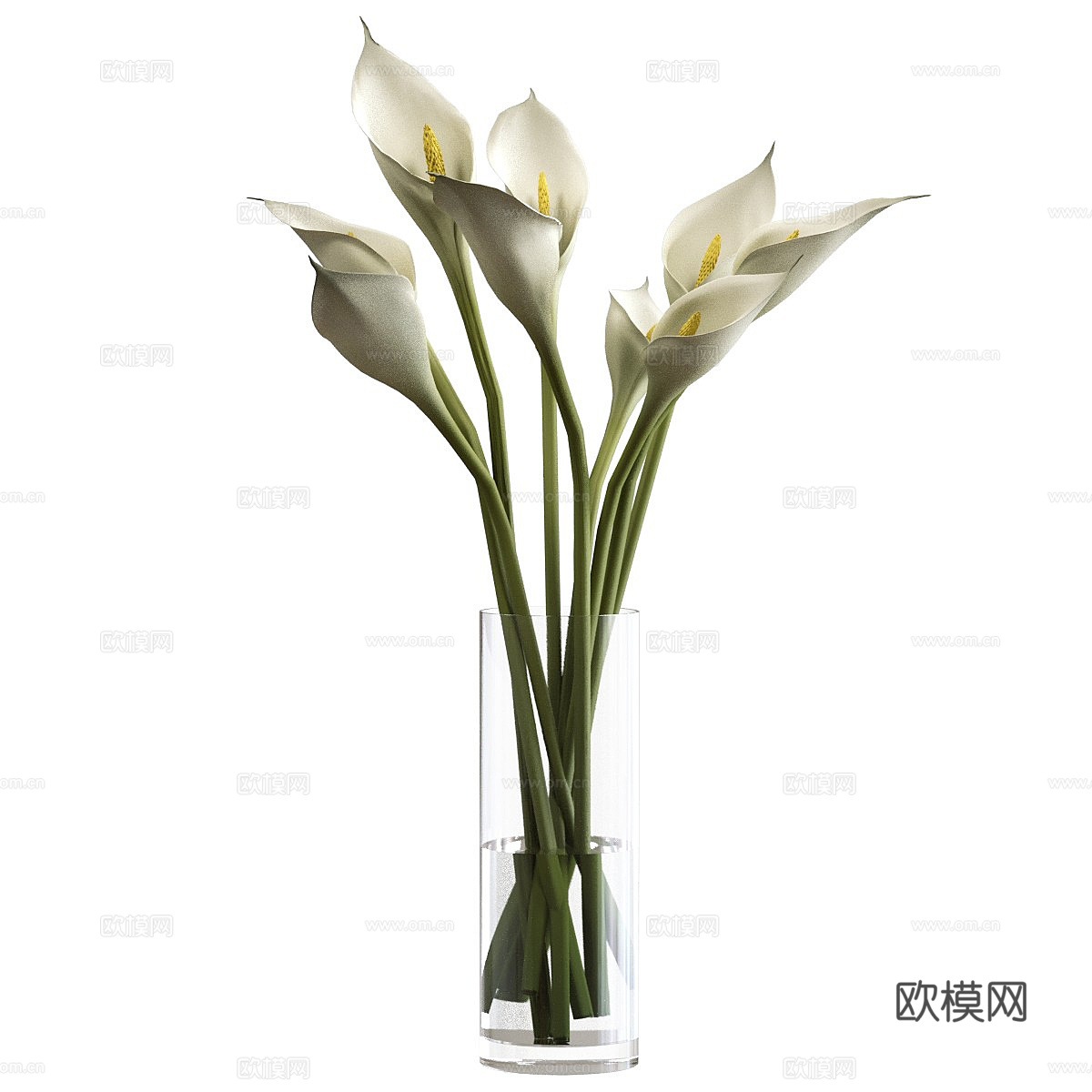 马蹄莲 花瓶 花艺3d模型