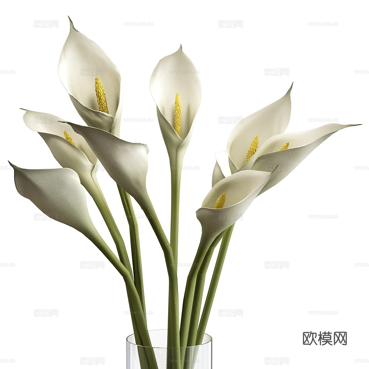 马蹄莲 花瓶 花艺3d模型