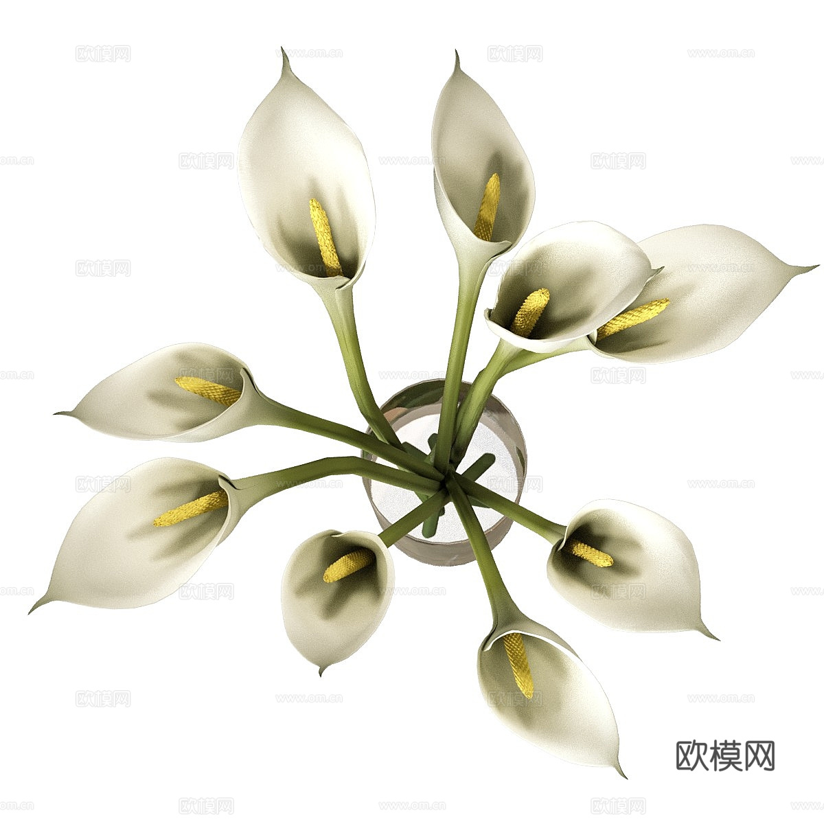 马蹄莲 花瓶 花艺3d模型