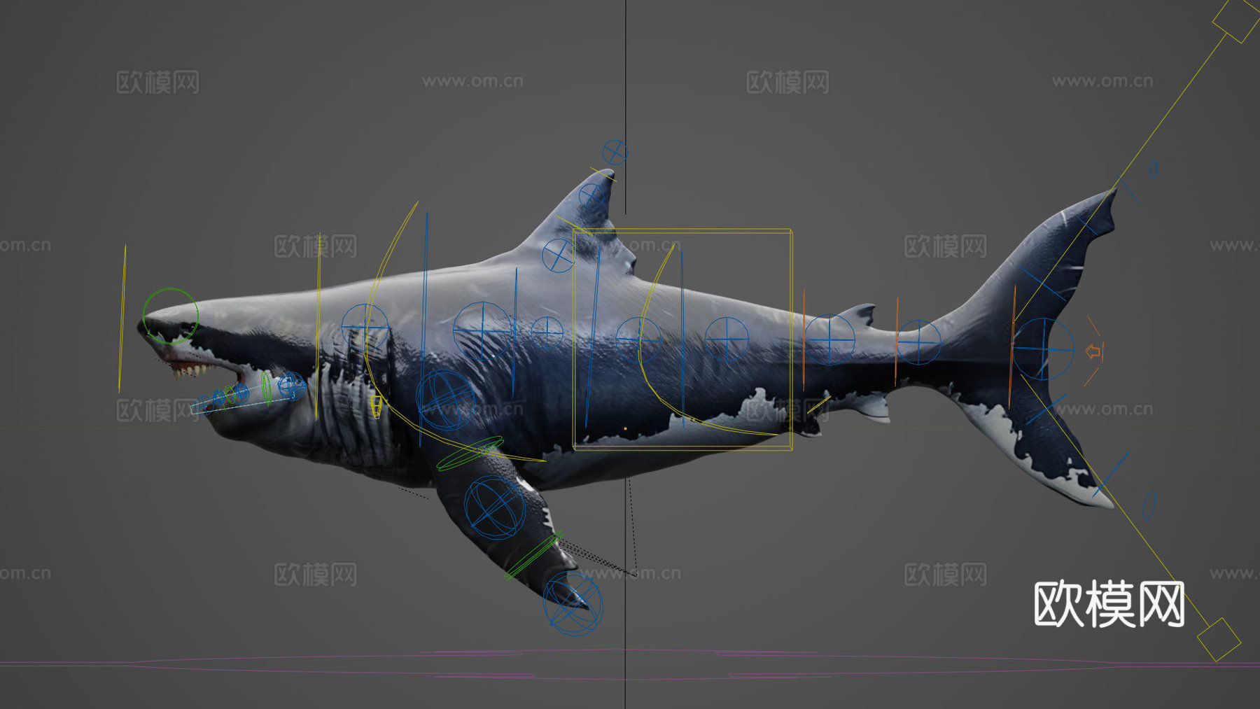 鲨鱼 有蒙皮 有骨骼3d模型