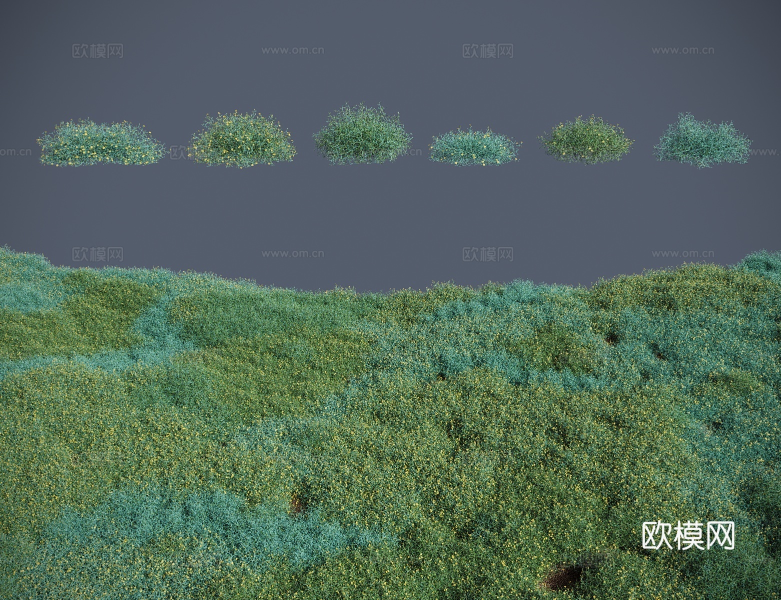 现代灌木 河西菊拐 拐棍 河西苣鹿角草 驴奶蒿3d模型