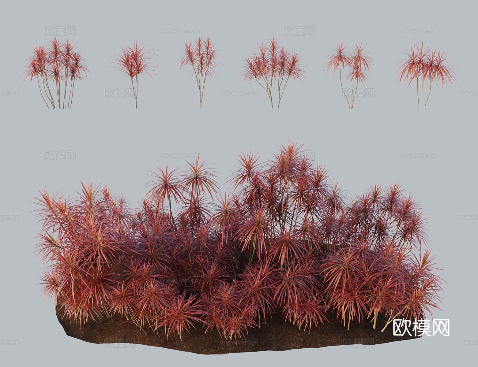 Modern Landscape Tree Horsetail Iron Tree Three-color Millennium Wood ...