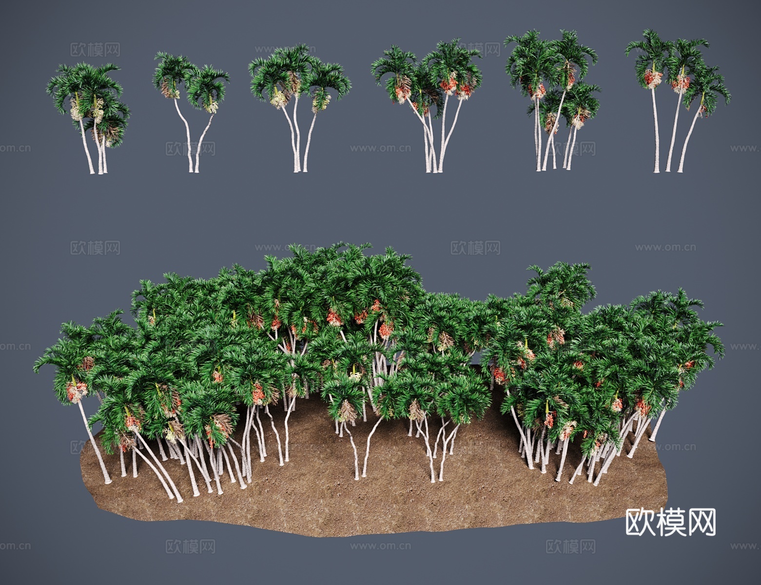 现代景观树 圣诞椰绿洲棕榈3d模型