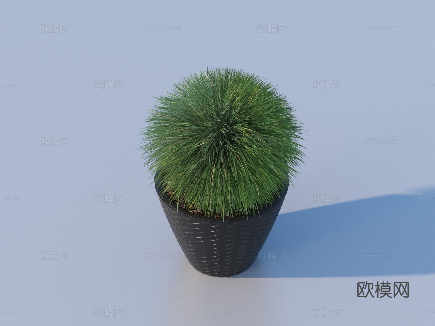 花盆 盆栽 绿植 植物3d模型