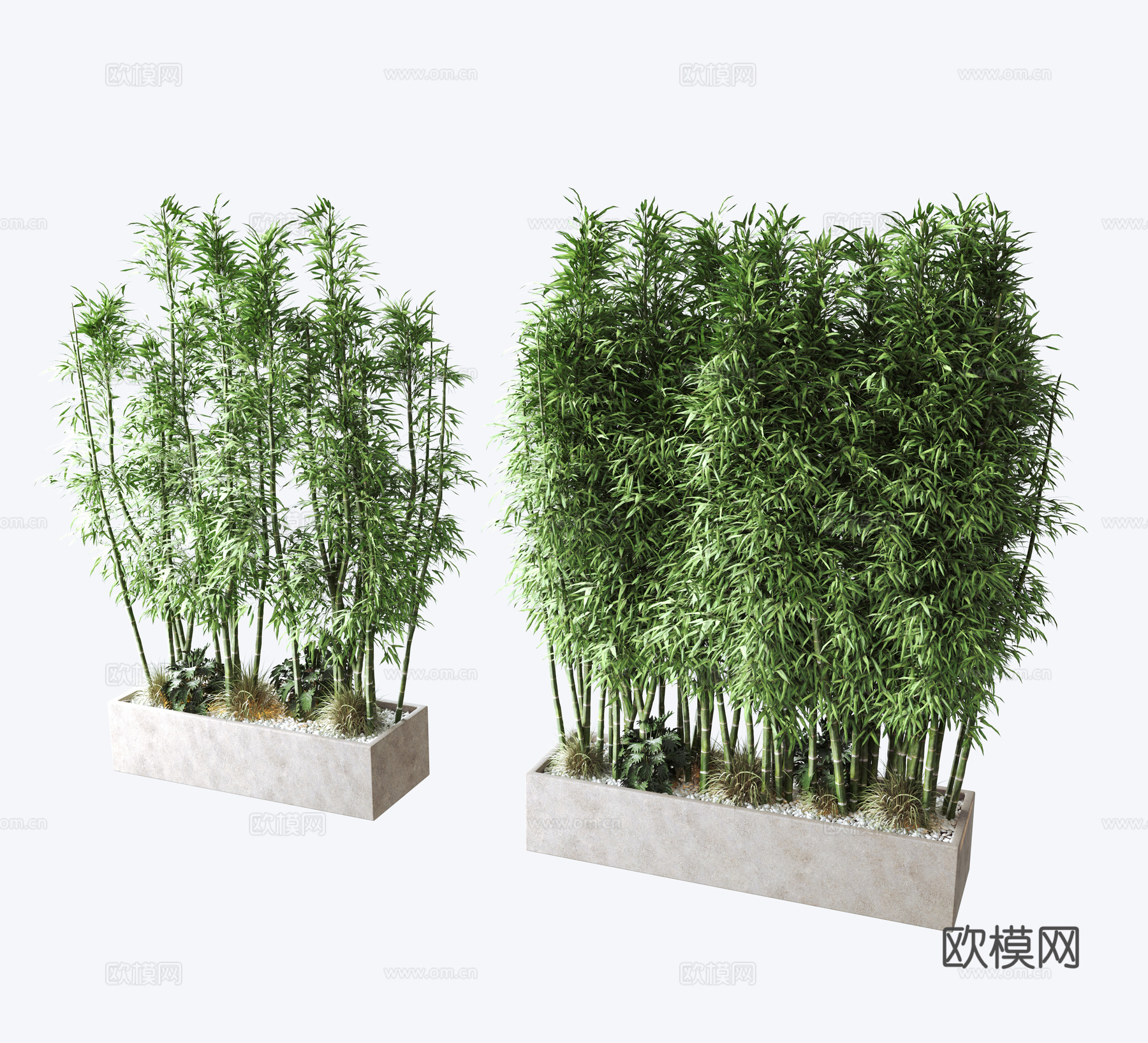 植物 绿植墙 竹子3d模型