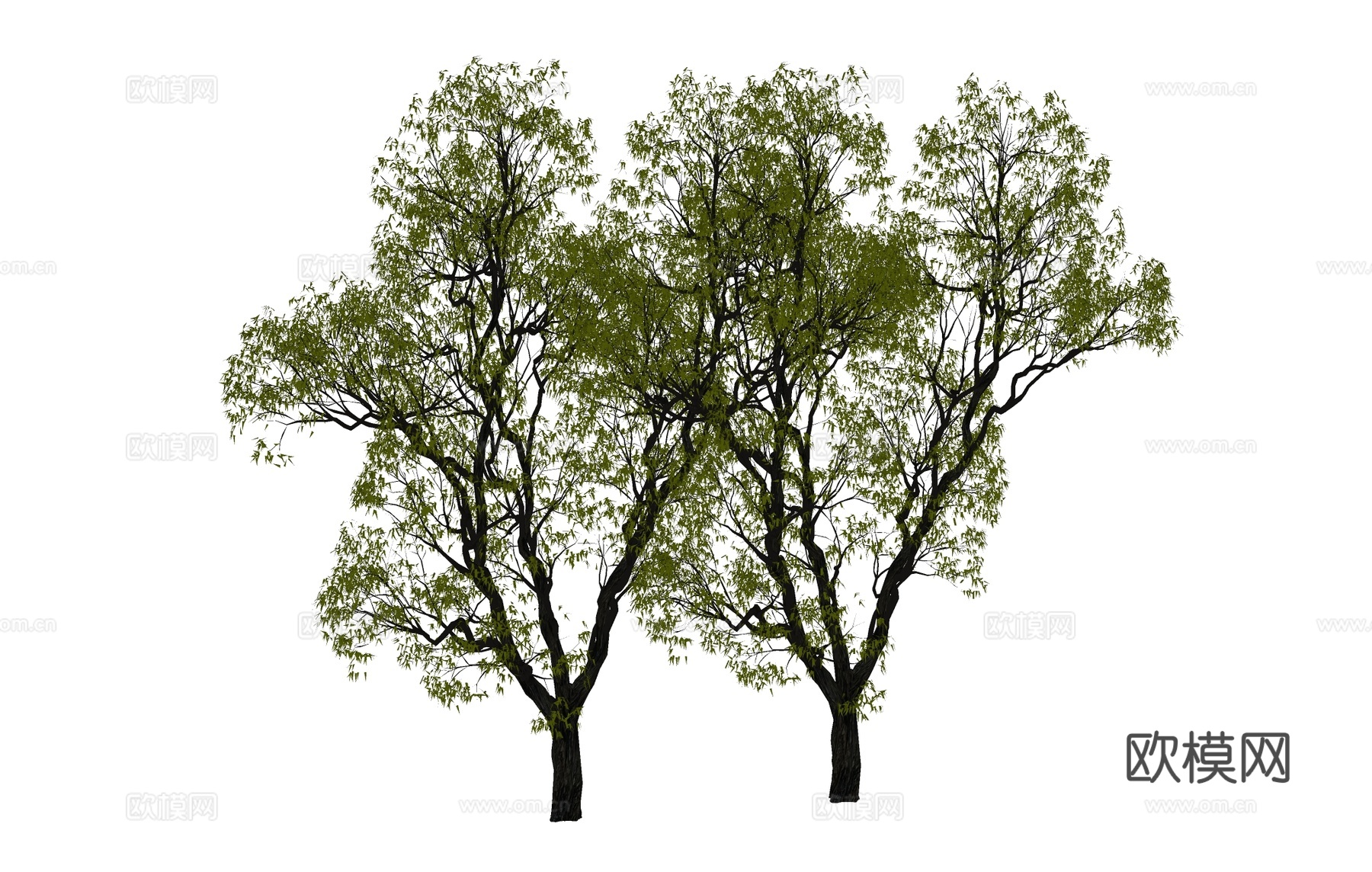 景观树 大树 树木su模型下载（渲染图1）