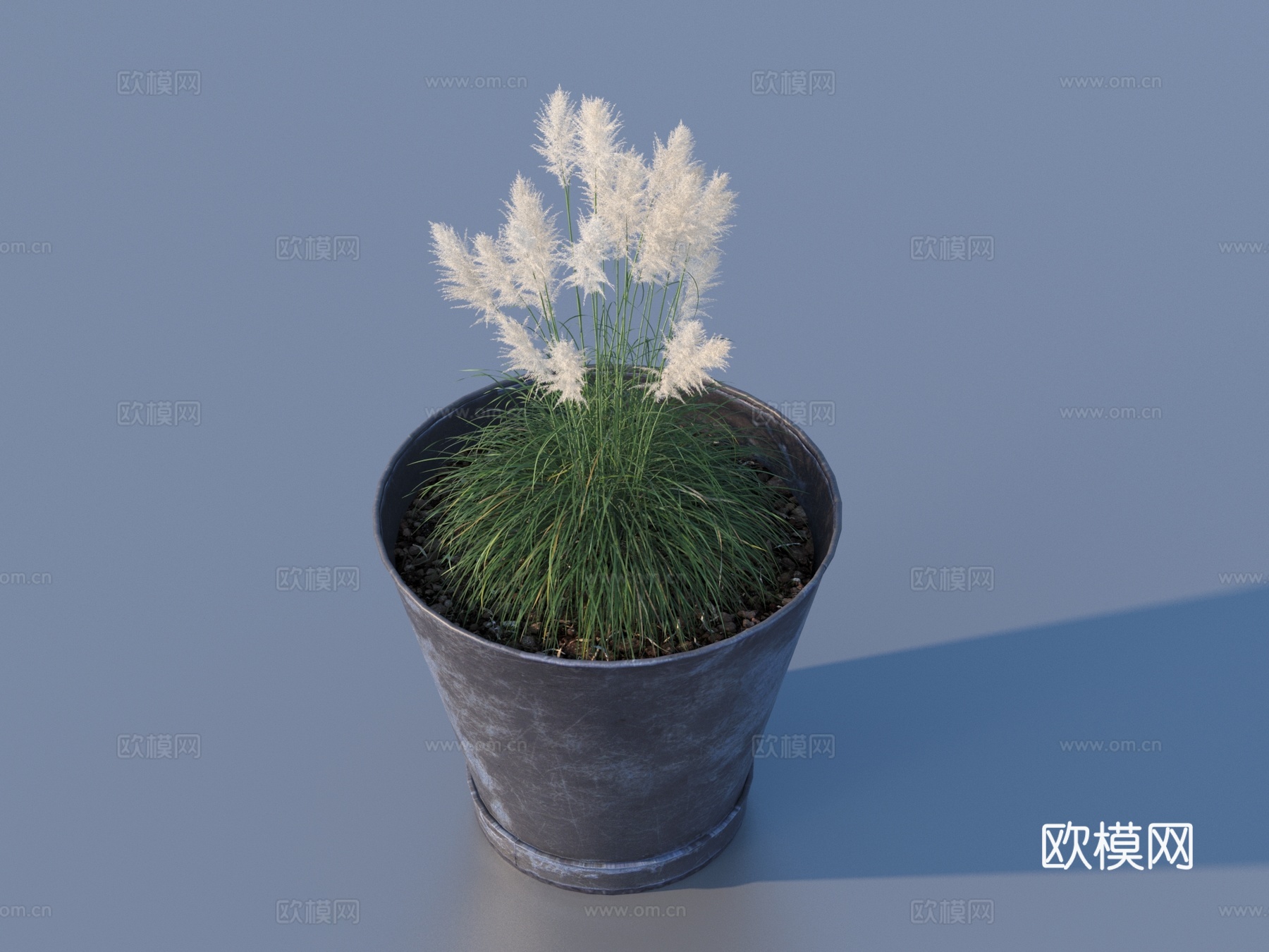 花盆 盆栽 绿植 植物3d模型