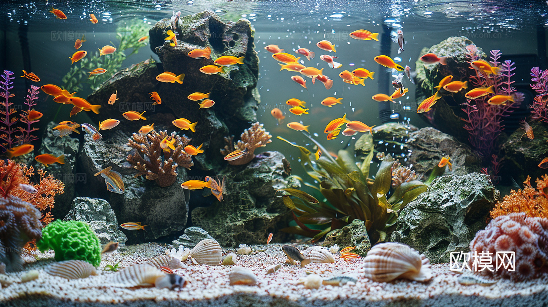鱼缸贴图下载