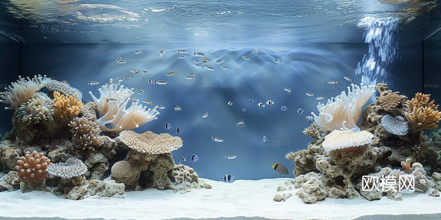 鱼缸贴图下载