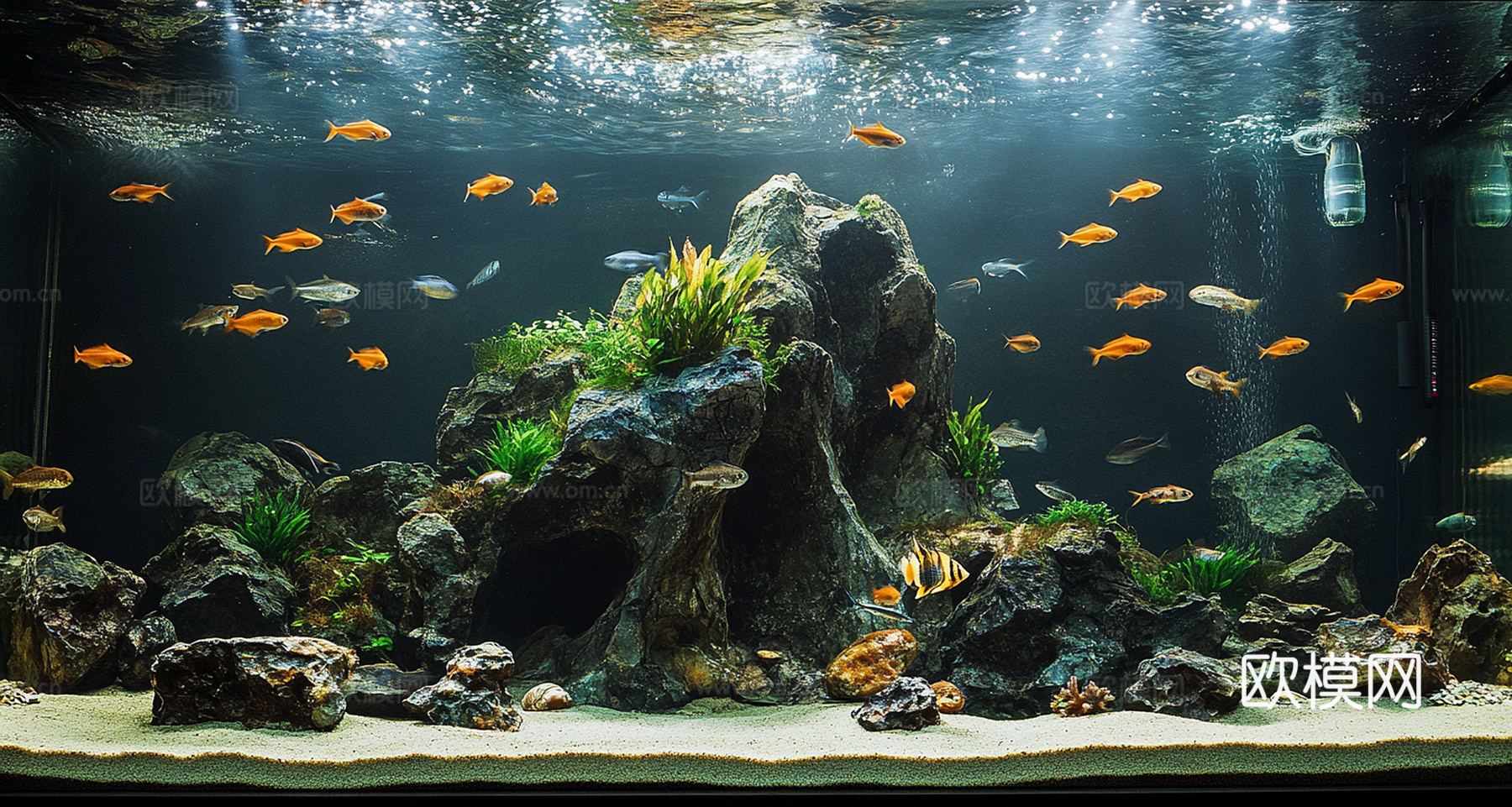 鱼缸贴图下载
