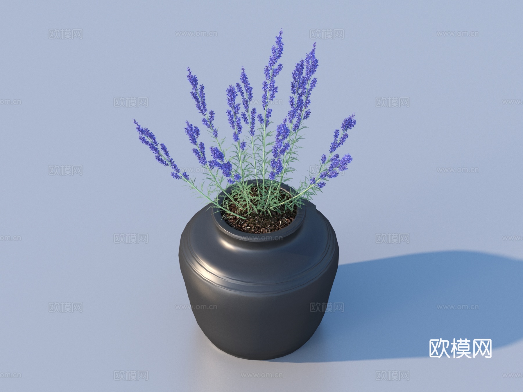 花盆 盆栽 绿植 植物3d模型