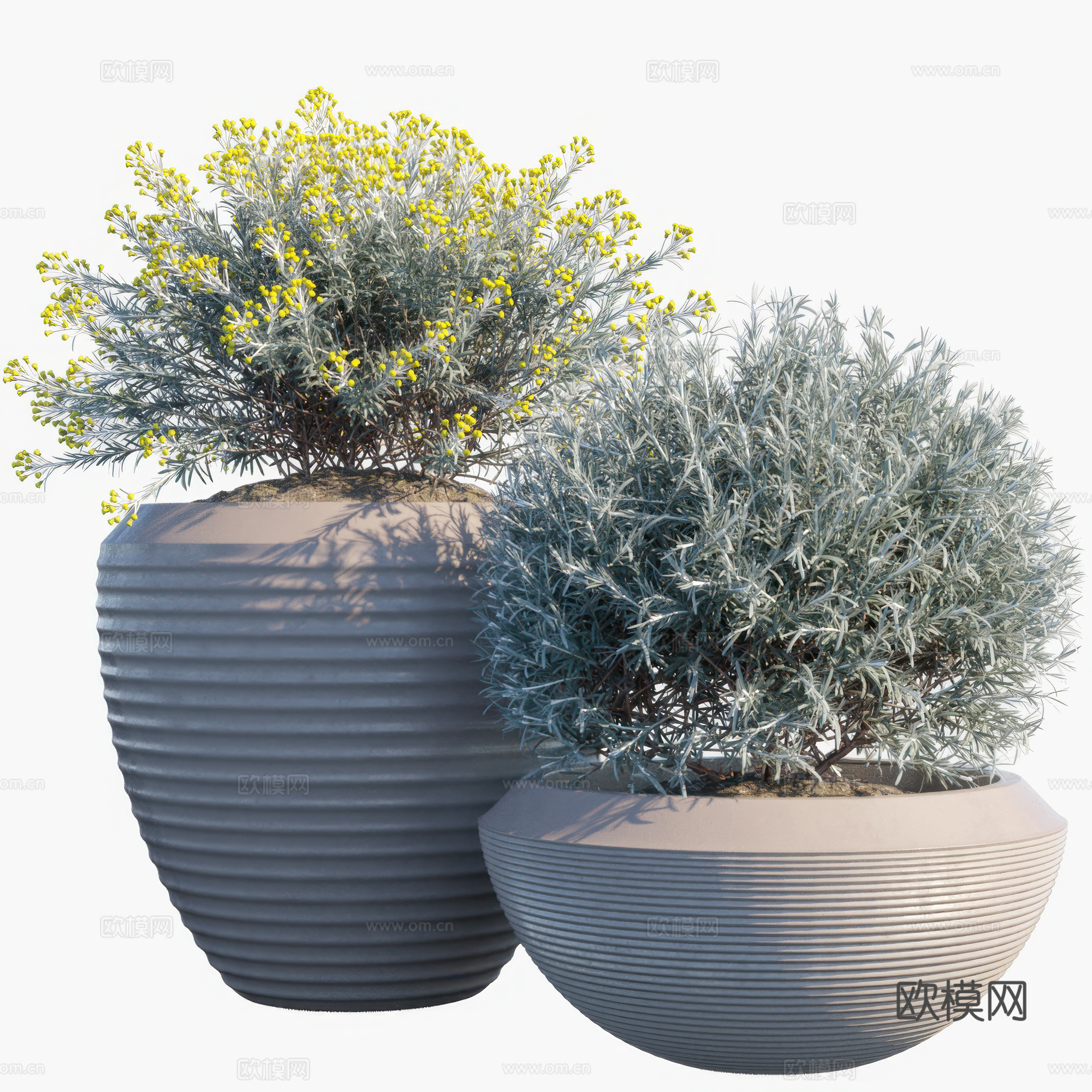 新中式绿植盆栽3d模型