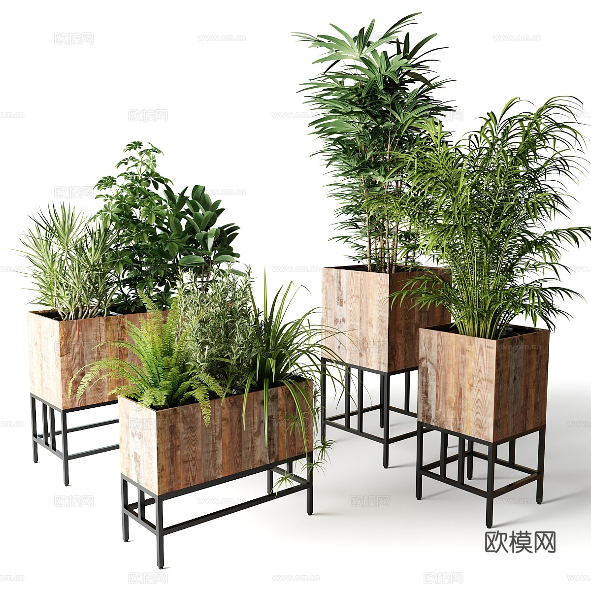 绿植盆栽 花盆 花箱3d模型